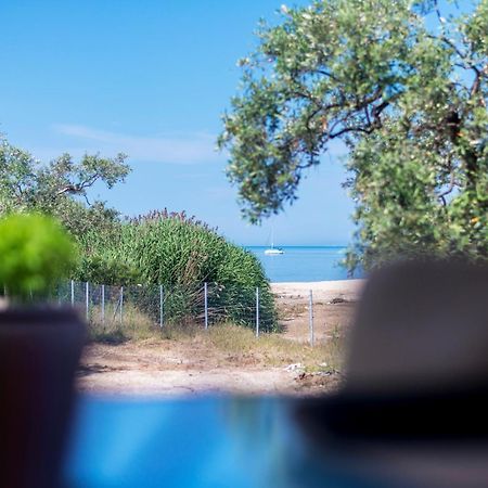 Terra Di Olive Thassos Otel Potos Dış mekan fotoğraf