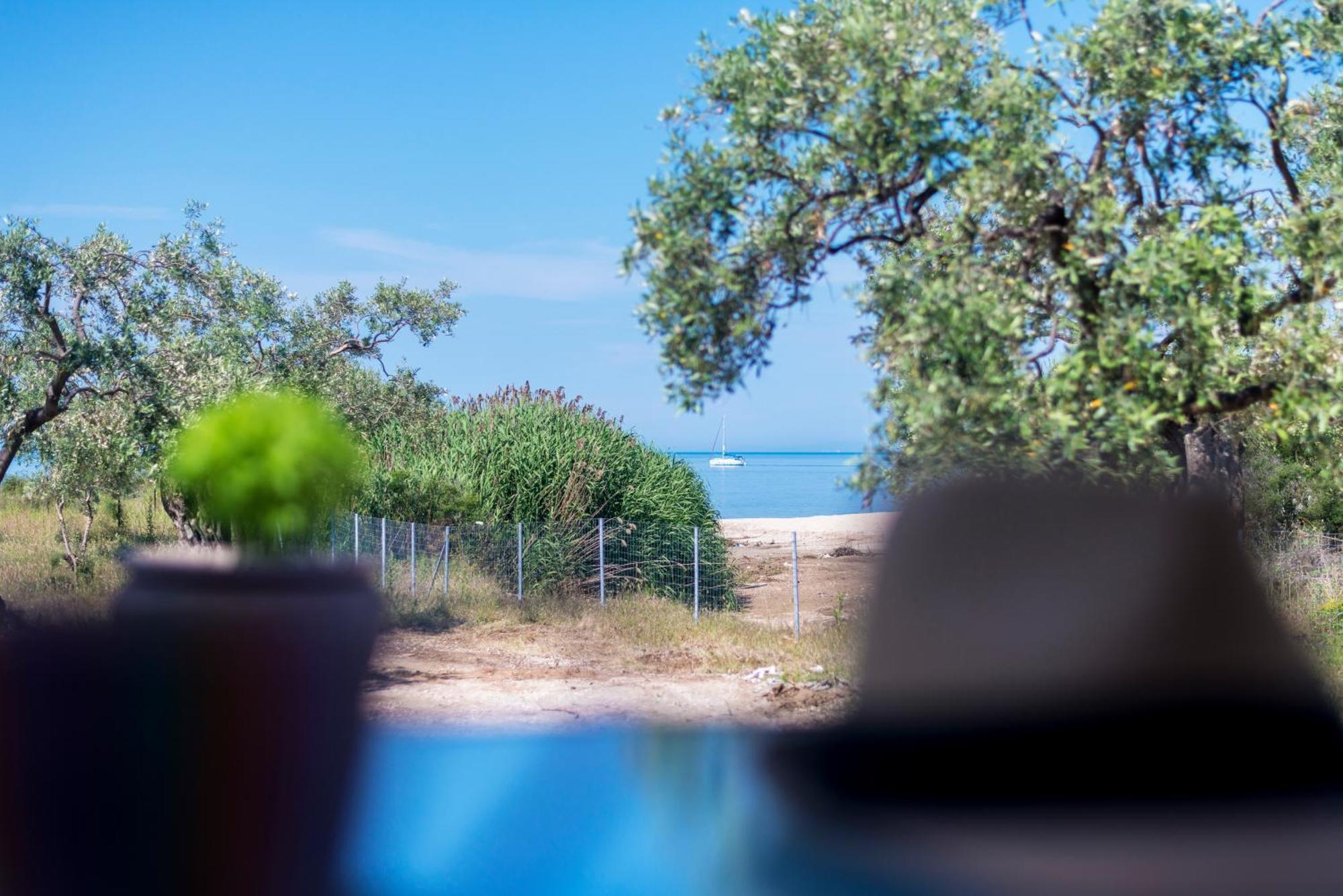 Terra Di Olive Thassos Otel Potos Dış mekan fotoğraf